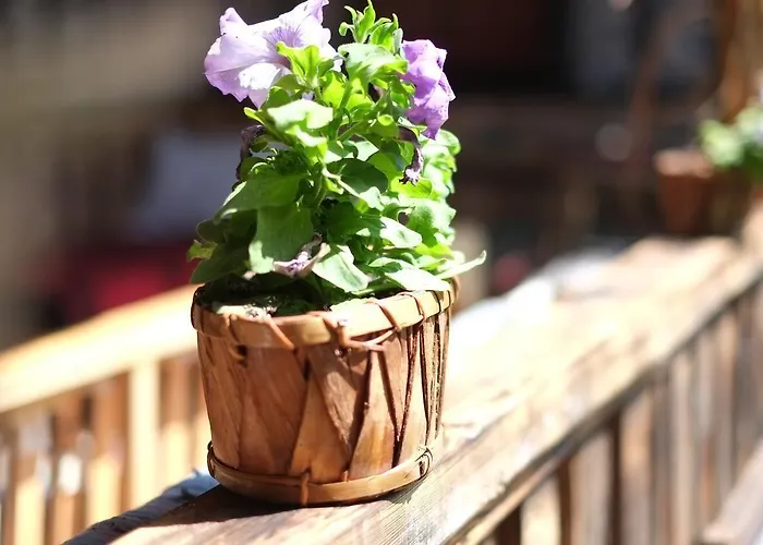 Gasthuis The Monastery